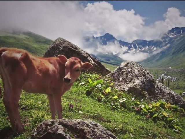Rize'den Yansımalar – Kasım 2011
