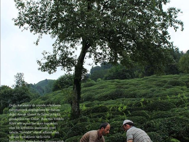 Rize'den Yansımalar – Kasım 2011