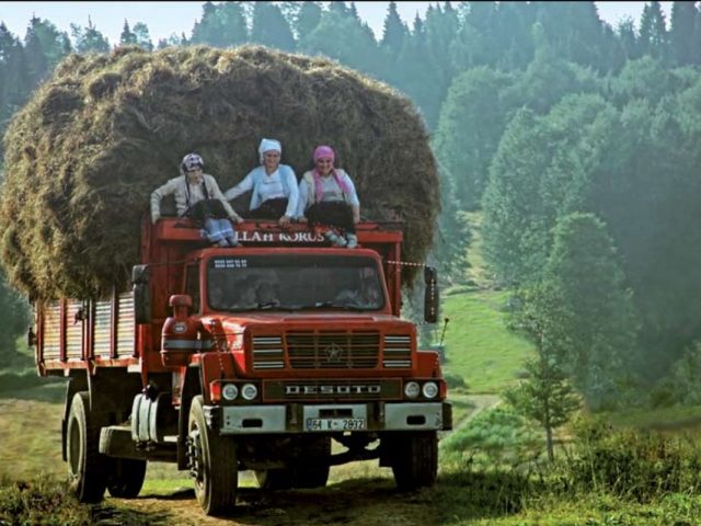 Rize'den Yansımalar – Ocak 2012