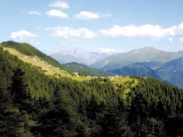 Yeryüzündeki Cennet ‘Pokut’