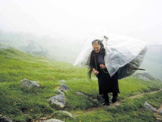 Rize'den Yansımalar – Nisan 2012