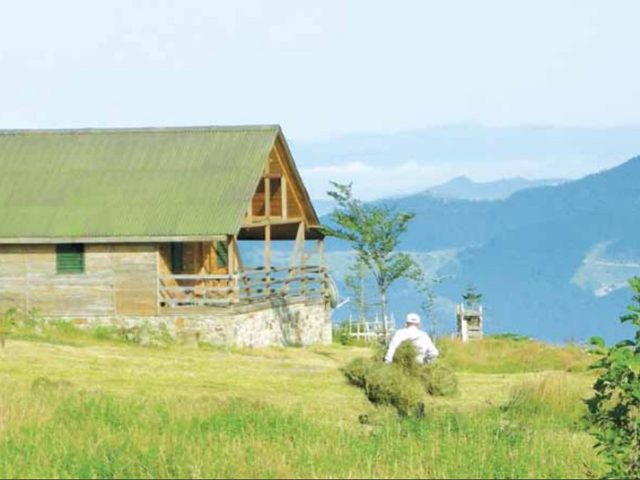Rize'den Yansımalar – Mayıs 2012
