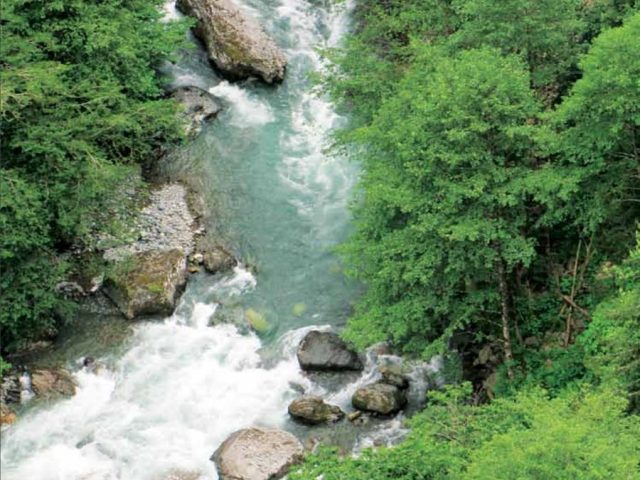 Rize'den Yansımalar – Haziran 2012