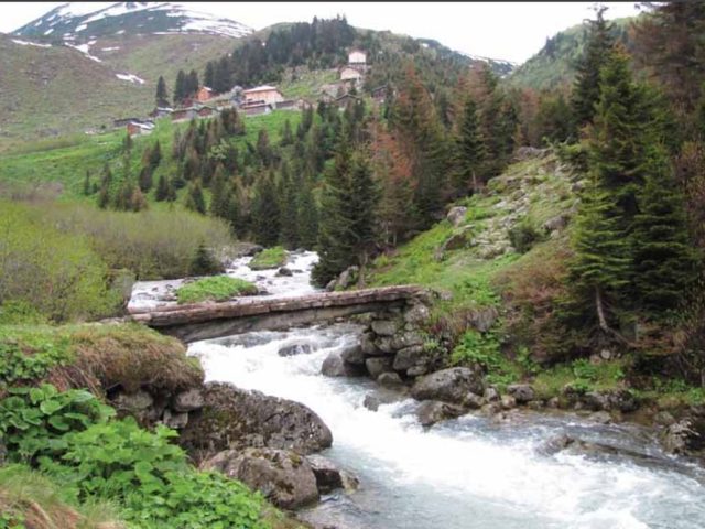 Rize'den Yansımalar – Haziran 2012