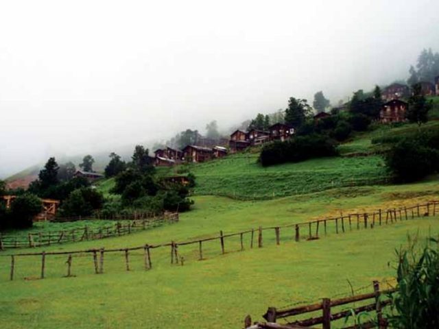 Rize'den Yansımalar – Temmuz 2012