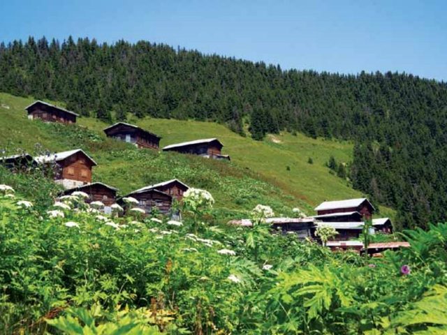 Rize'den Yansımalar – Temmuz 2012