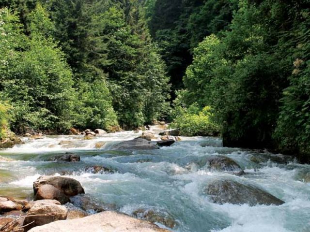 Rize'den Yansımalar – Ağustos 2012