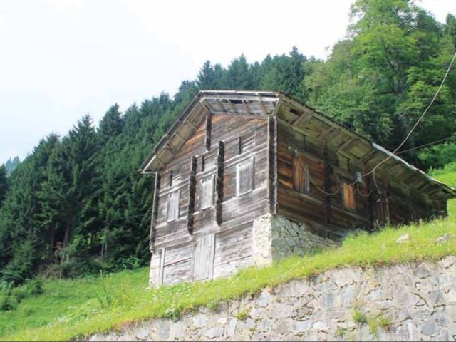 Rize'den Yansımalar – Ağustos 2012
