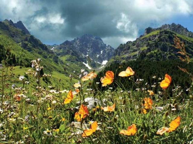 Rize'den Yansımalar – Eylül 2012
