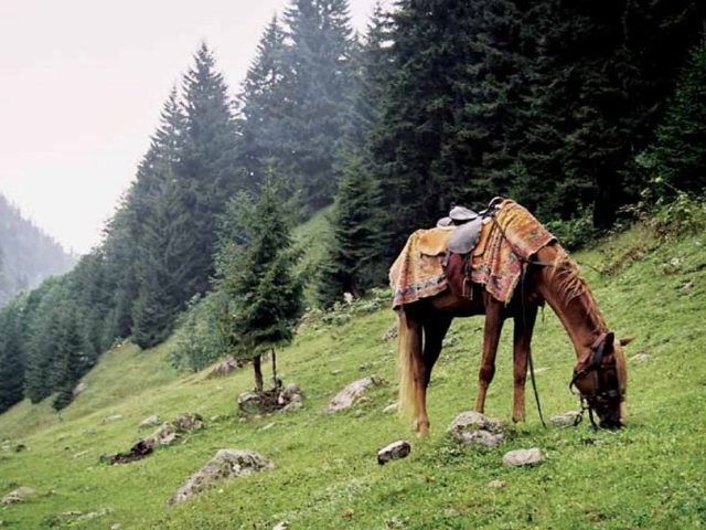 Rize'den Yansımalar – Eylül 2012