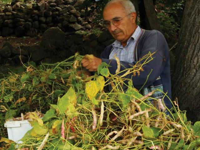 Rize'den Yansımalar – Ekim 2012