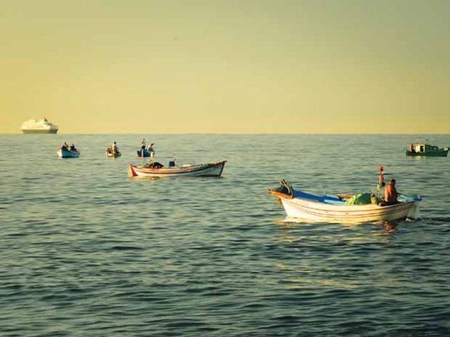 Rize'den Yansımalar – Kasım 2012