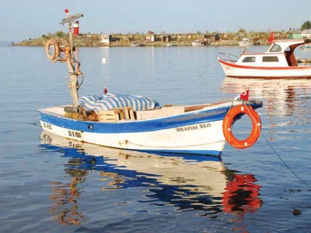 Rize'den Yansımalar – Aralık 2012