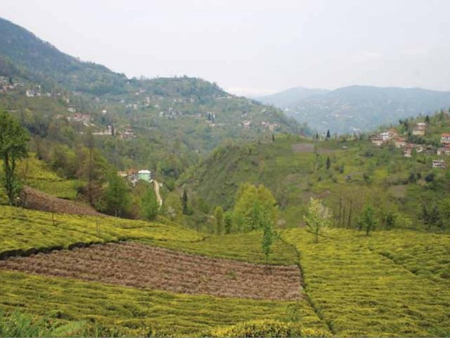 Rize'den Yansımalar – Aralık 2012
