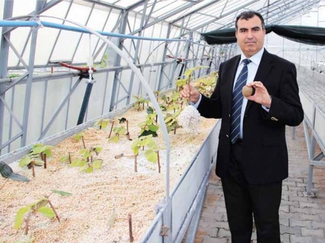 Halikarnas Mozolesi Parçalarının İadesi