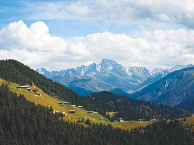 Rize'den Yansımalar – Ocak 2013