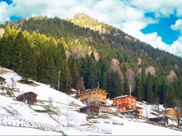 Rize'den Yansımalar – Ocak 2013