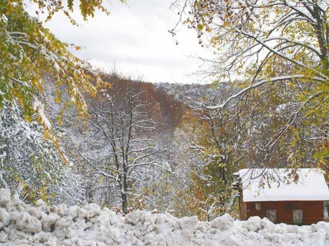 Rize'den Yansımalar – Ocak 2013