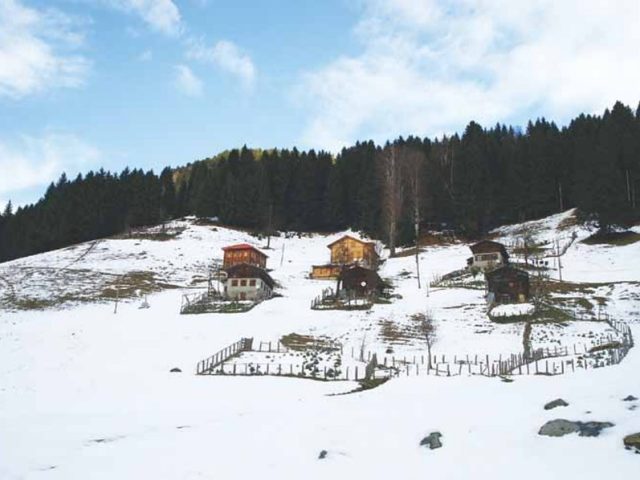 Rize'den Yansımalar – Ocak 2013