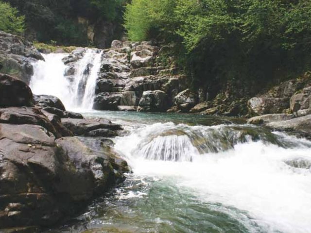 Rize'den Yansımalar – Ocak 2013