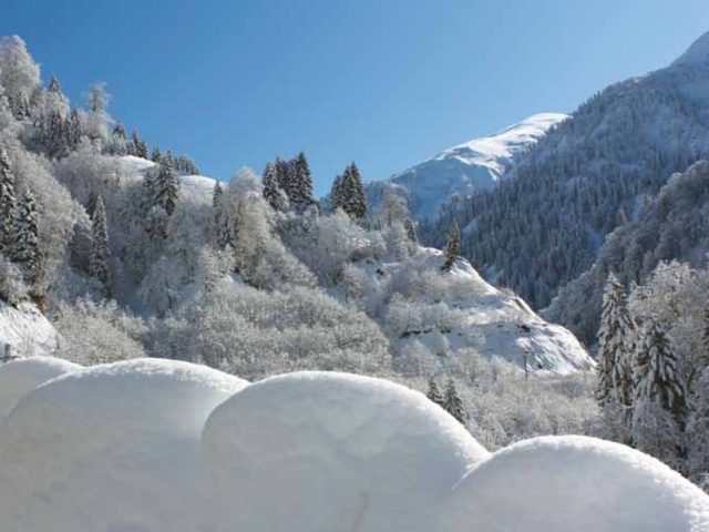 Rize'den Yansımalar – Şubat 2013