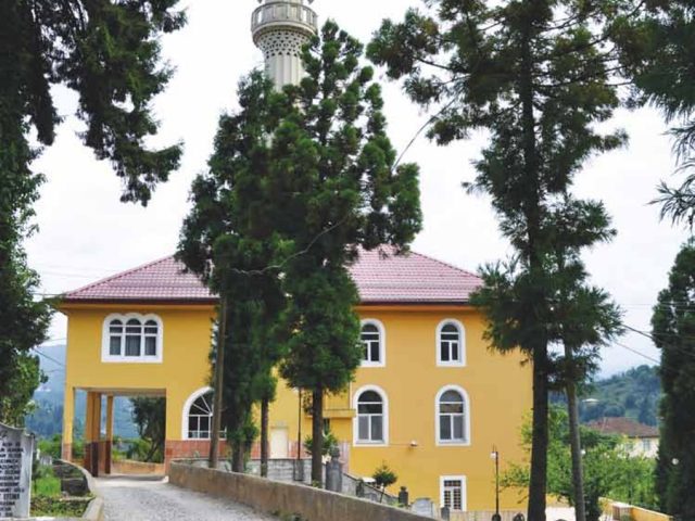 Rize'den Yansımalar – Şubat 2013
