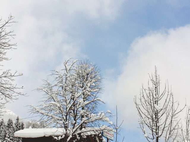 Rize'den Yansımalar – Mart 2013