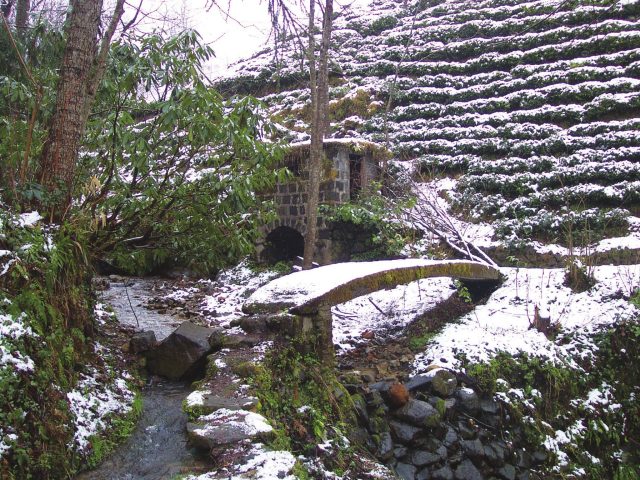 Rize'den Yansımalar – Mart 2013