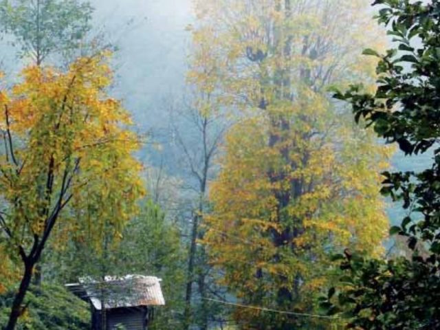 Rize'den Yansımalar – Nisan 2013