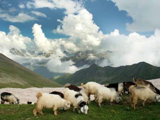 Rize'den Yansımalar – Nisan 2013