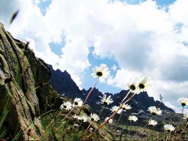Rize'den Yansımalar – Nisan 2013
