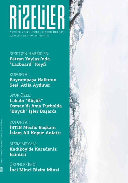 Şubat 2013 kapağı